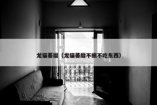 龙猫萎靡（龙猫萎靡不振不吃东西）