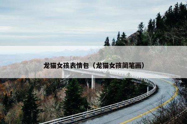 龙猫女孩表情包（龙猫女孩简笔画）