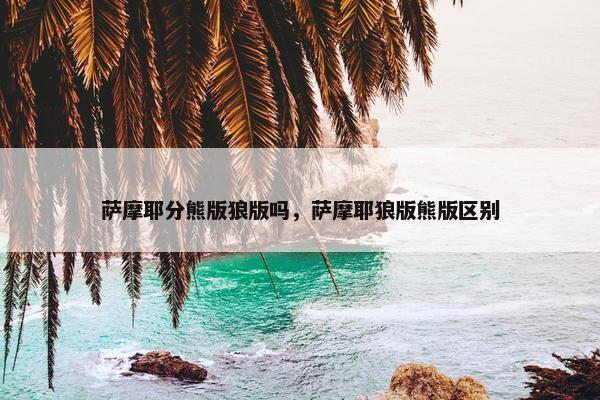 萨摩耶分熊版狼版吗，萨摩耶狼版熊版区别