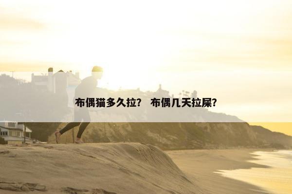 布偶猫多久拉？ 布偶几天拉屎？