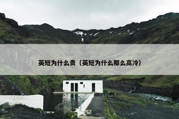 英短为什么贵（英短为什么那么高冷）