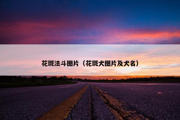 花斑法斗图片（花斑犬图片及犬名）