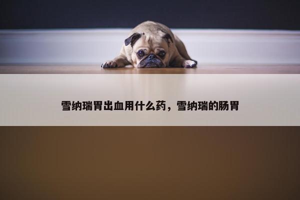 雪纳瑞胃出血用什么药，雪纳瑞的肠胃