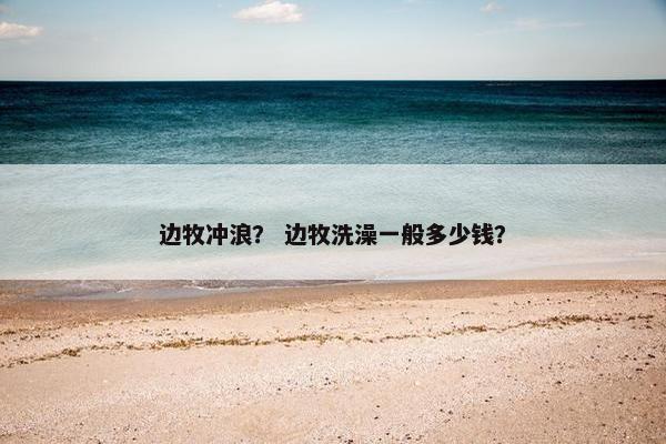 边牧冲浪？ 边牧洗澡一般多少钱？