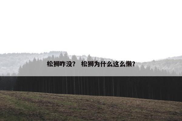 松狮咋没？ 松狮为什么这么懒？