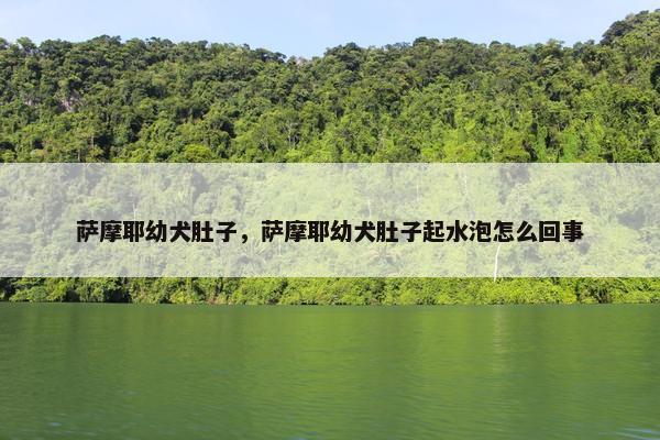 萨摩耶幼犬肚子，萨摩耶幼犬肚子起水泡怎么回事