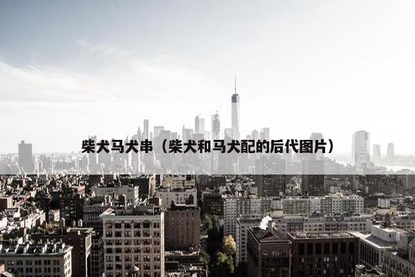 柴犬马犬串（柴犬和马犬配的后代图片）