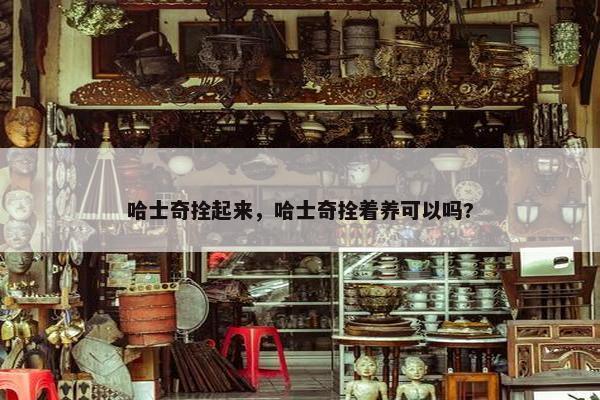 哈士奇拴起来，哈士奇拴着养可以吗?