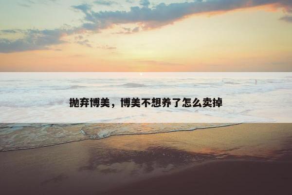 抛弃博美，博美不想养了怎么卖掉