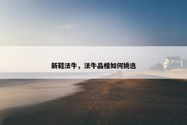 新鞋法牛，法牛品相如何挑选