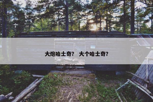 大炮哈士奇？ 大个哈士奇？