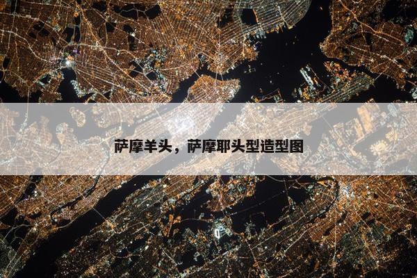 萨摩羊头，萨摩耶头型造型图