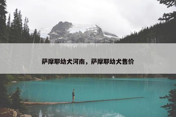 萨摩耶幼犬河南，萨摩耶幼犬售价