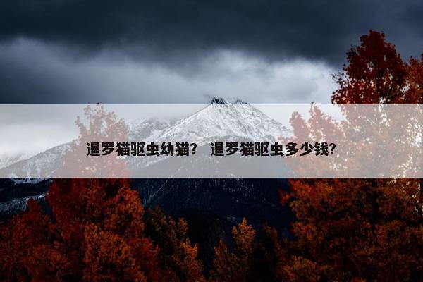 暹罗猫驱虫幼猫？ 暹罗猫驱虫多少钱？