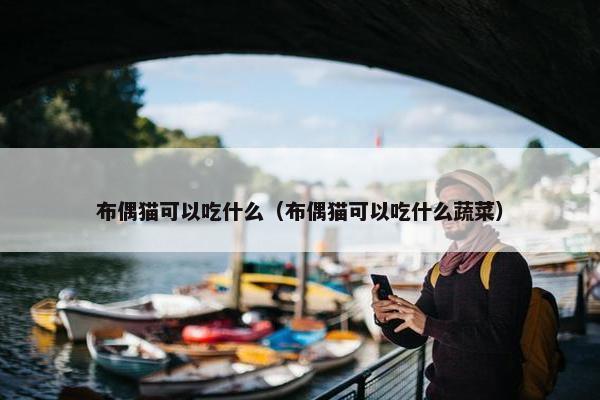布偶猫可以吃什么（布偶猫可以吃什么蔬菜）