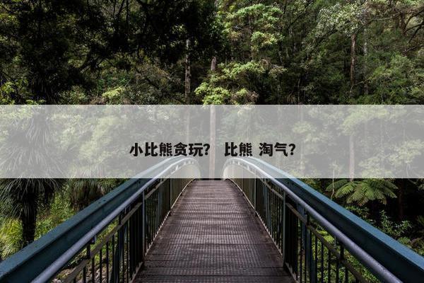 小比熊贪玩？ 比熊 淘气？