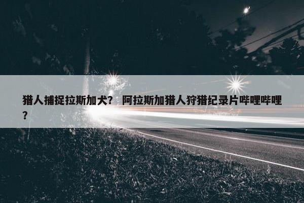 猎人捕捉拉斯加犬？ 阿拉斯加猎人狩猎纪录片哔哩哔哩？