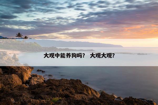 大观中能养狗吗？ 大观大观？