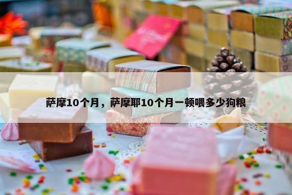 萨摩10个月，萨摩耶10个月一顿喂多少狗粮
