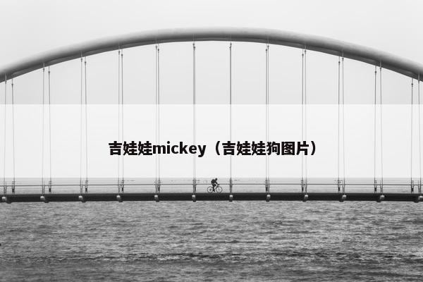 吉娃娃mickey（吉娃娃狗图片）