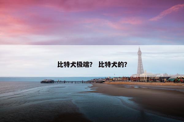比特犬极端？ 比特犬的？