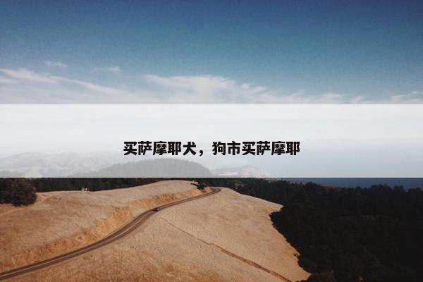 买萨摩耶犬，狗市买萨摩耶