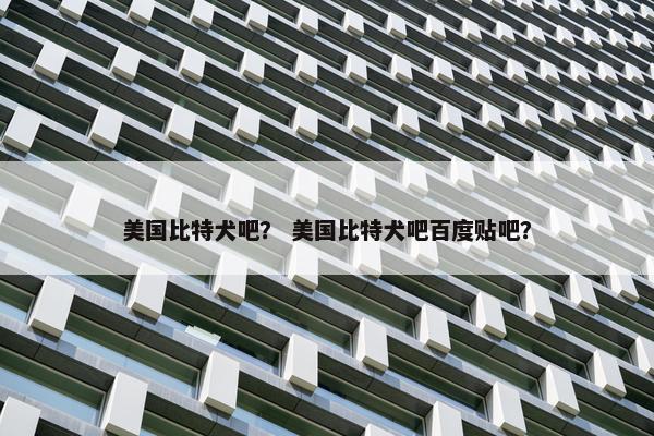美国比特犬吧？ 美国比特犬吧百度贴吧？
