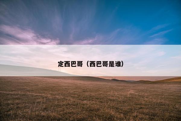 定西巴哥（西巴哥是谁）