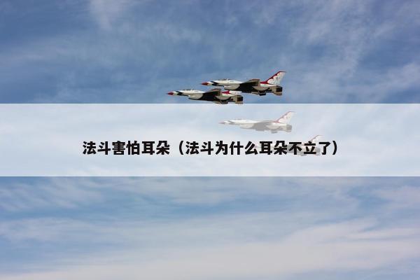 法斗害怕耳朵（法斗为什么耳朵不立了）