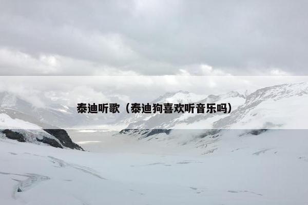 泰迪听歌（泰迪狗喜欢听音乐吗）