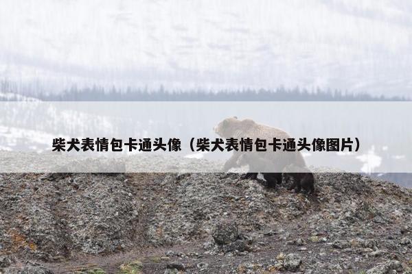 柴犬表情包卡通头像（柴犬表情包卡通头像图片）