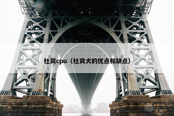 杜宾cpu（杜宾犬的优点和缺点）