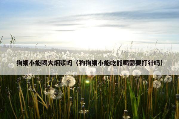狗细小能喝大烟浆吗（狗狗细小能吃能喝需要打针吗）