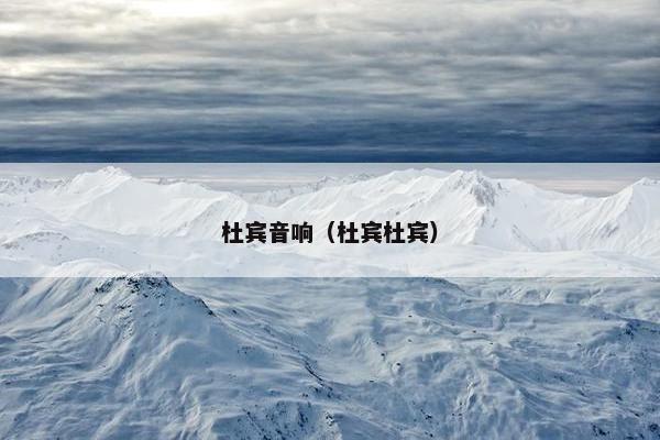 杜宾音响（杜宾杜宾）