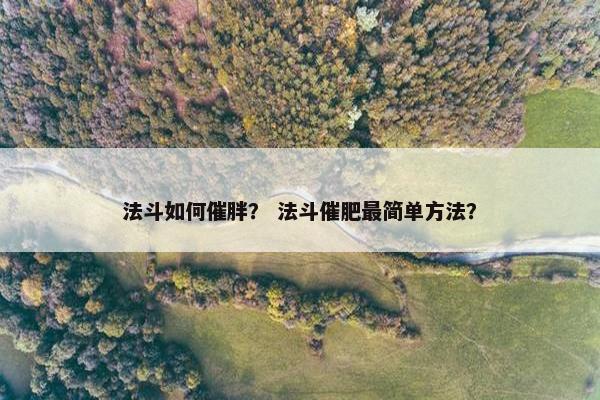 法斗如何催胖？ 法斗催肥最简单方法？