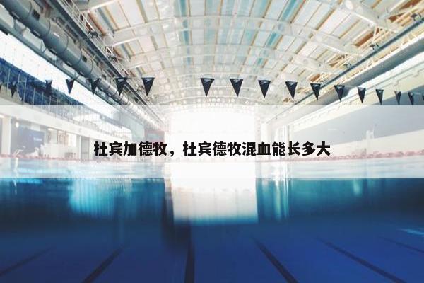 杜宾加德牧，杜宾德牧混血能长多大