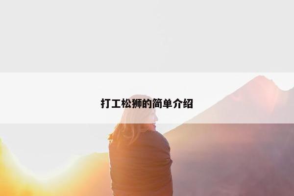 打工松狮的简单介绍