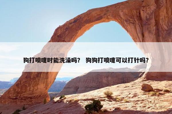 狗打喷嚏时能洗澡吗？ 狗狗打喷嚏可以打针吗？