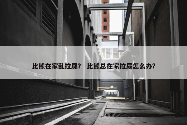 比熊在家乱拉屎？ 比熊总在家拉尿怎么办？