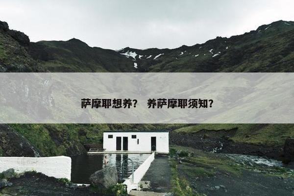 萨摩耶想养？ 养萨摩耶须知？