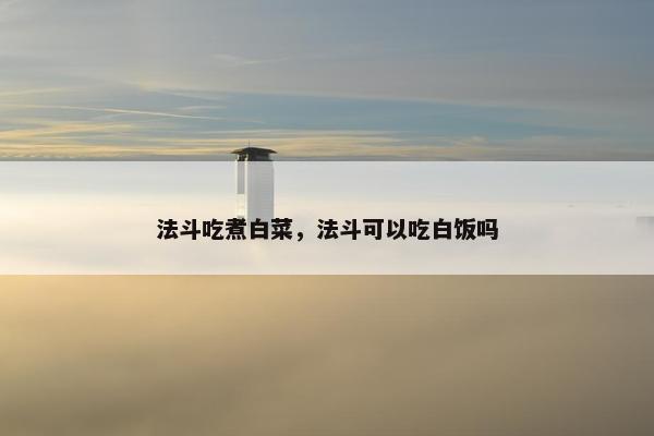 法斗吃煮白菜，法斗可以吃白饭吗