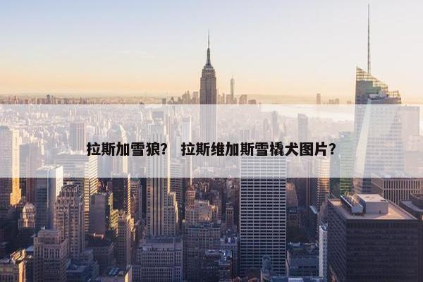 拉斯加雪狼？ 拉斯维加斯雪橇犬图片？