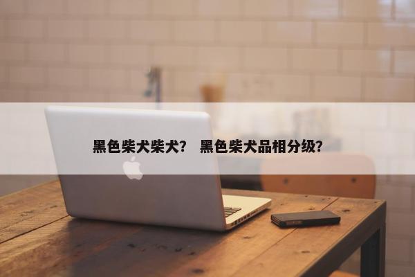 黑色柴犬柴犬？ 黑色柴犬品相分级？