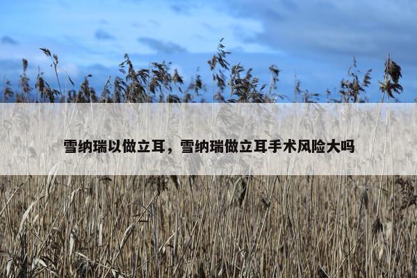 雪纳瑞以做立耳，雪纳瑞做立耳手术风险大吗