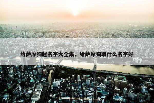 给萨摩狗起名字大全集，给萨摩狗取什么名字好