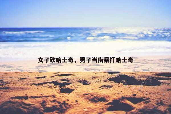 女子砍哈士奇，男子当街暴打哈士奇
