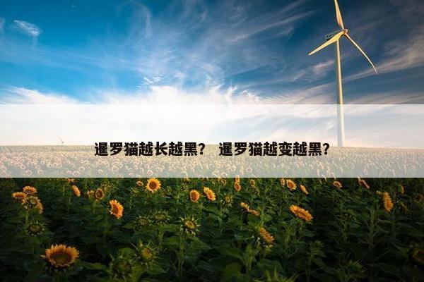 暹罗猫越长越黑？ 暹罗猫越变越黑？