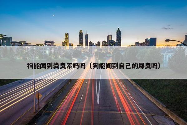 狗能闻到粪臭素吗吗（狗能闻到自己的屎臭吗）