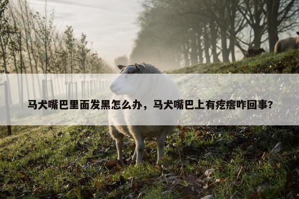 马犬嘴巴里面发黑怎么办，马犬嘴巴上有疙瘩咋回事?