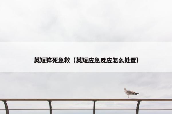 英短猝死急救（英短应急反应怎么处置）